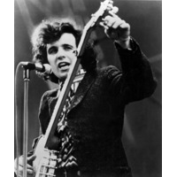 Artist Profile - Don McLean - Pictures