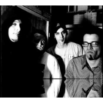 Deep Puddle Dynamics on Radio Songs, Videos, Bio